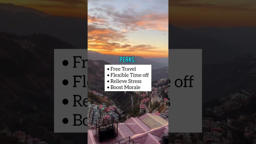 Best Travel Job for Beginners ✈️ | Travel and Earn | Earn money while Travelling #traveljobs #travel