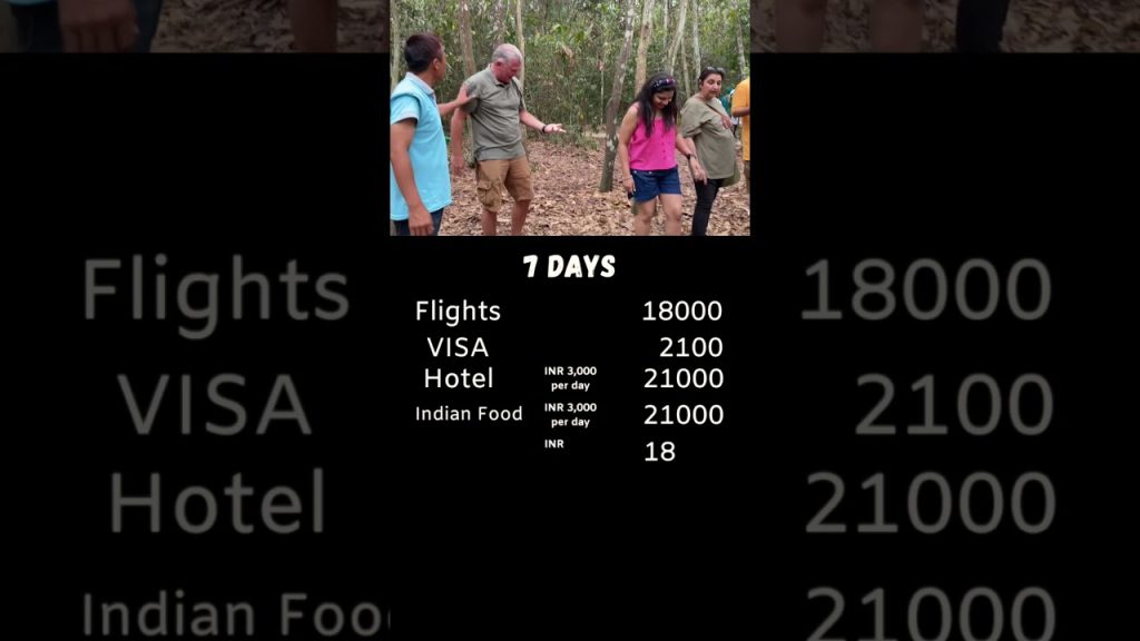 India to Vietnam trip #vietnamtrip #vietnam #hochiminh #vietnamtravel #hanoi #travelguide